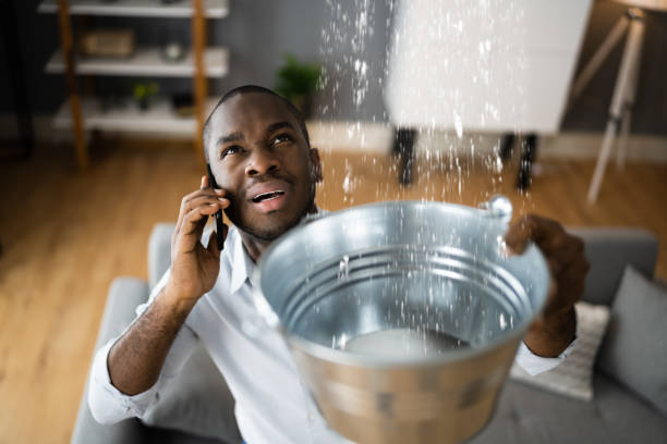 Best Local water damage restoration  in Pageland, SC