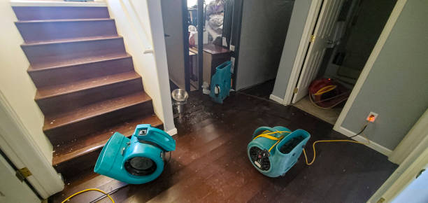 Best Flood damage cleanup  in Pageland, SC