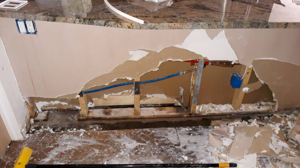 Best Water damage restoration services  in Pageland, SC