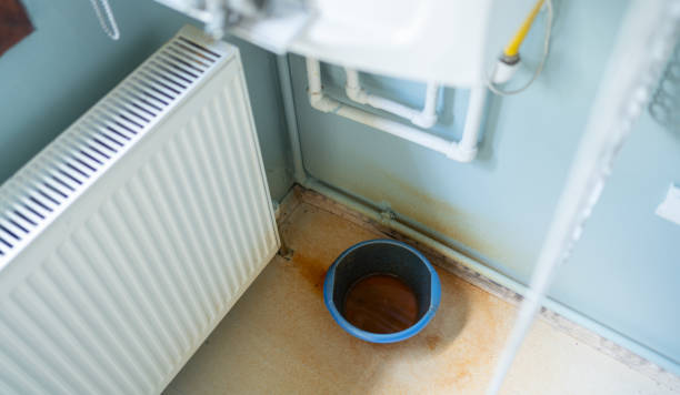 Best Water damage contractors near me  in Pageland, SC