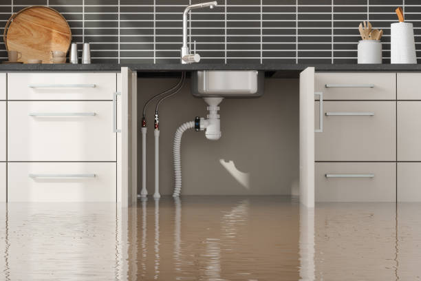 Best Fire Damage Restoration  in Pageland, SC