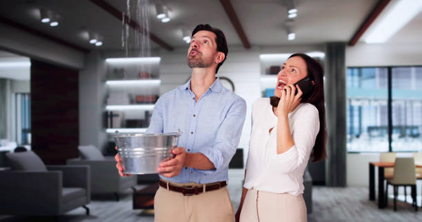 Best Fire Damage Restoration  in Pageland, SC
