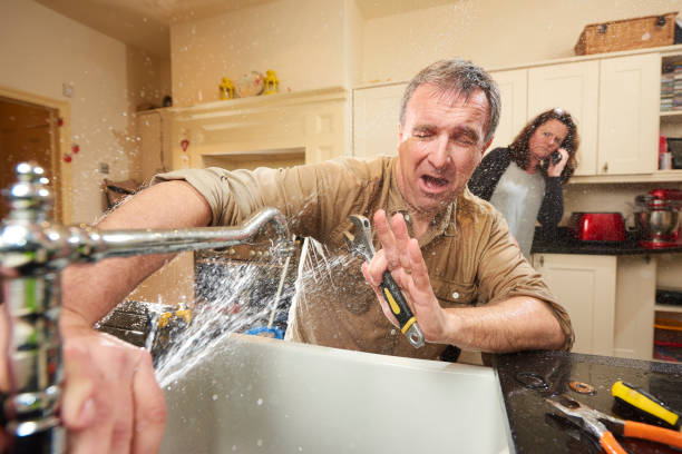 Best Flood restoration services  in Pageland, SC